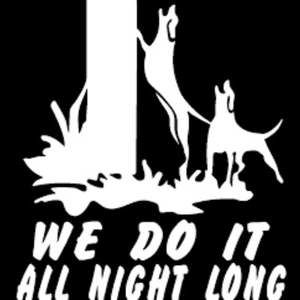 Meet your Posher, Dillon